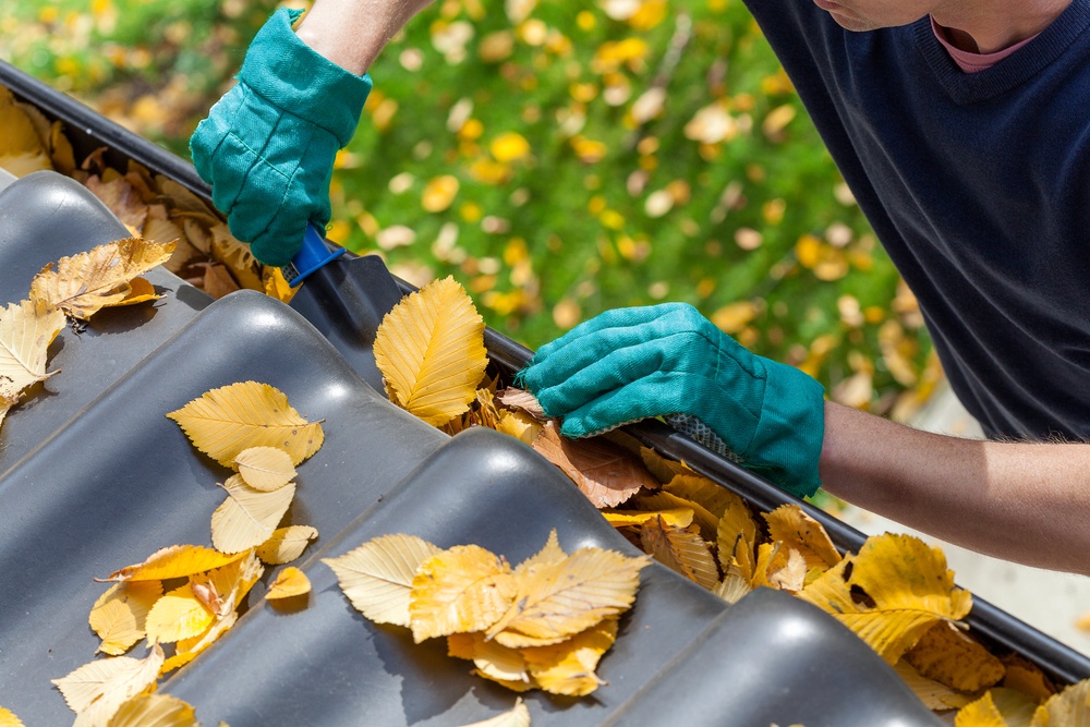 Clean Gutters